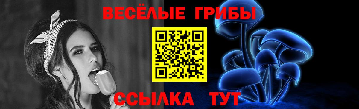 Галлюциногенные грибы Psilocybine cubensis Холмск